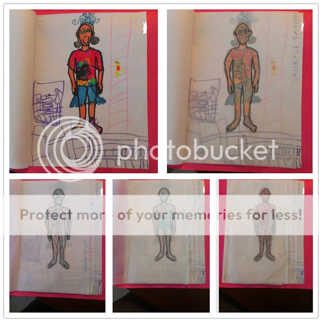 Uploaded from the Photobucket Android App