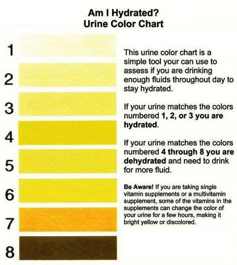  urine color chart how to stay healthy raw for beauty health
