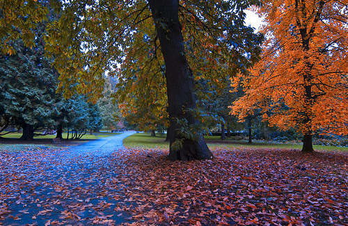 Fall Colors  by petetaylor