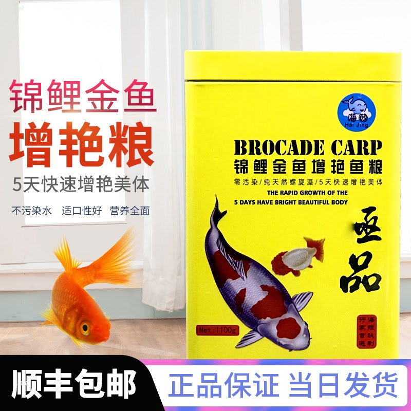 金宴紅白金蝴蝶錦鯉增白增體成長魚飼料蝴蝶鯉魚糧觀賞魚糧不渾水