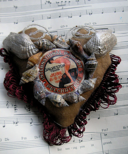The Butterfly Seashell!
