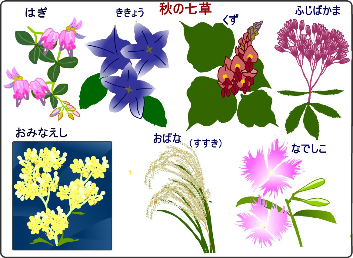 七草 イラスト 画像 無料