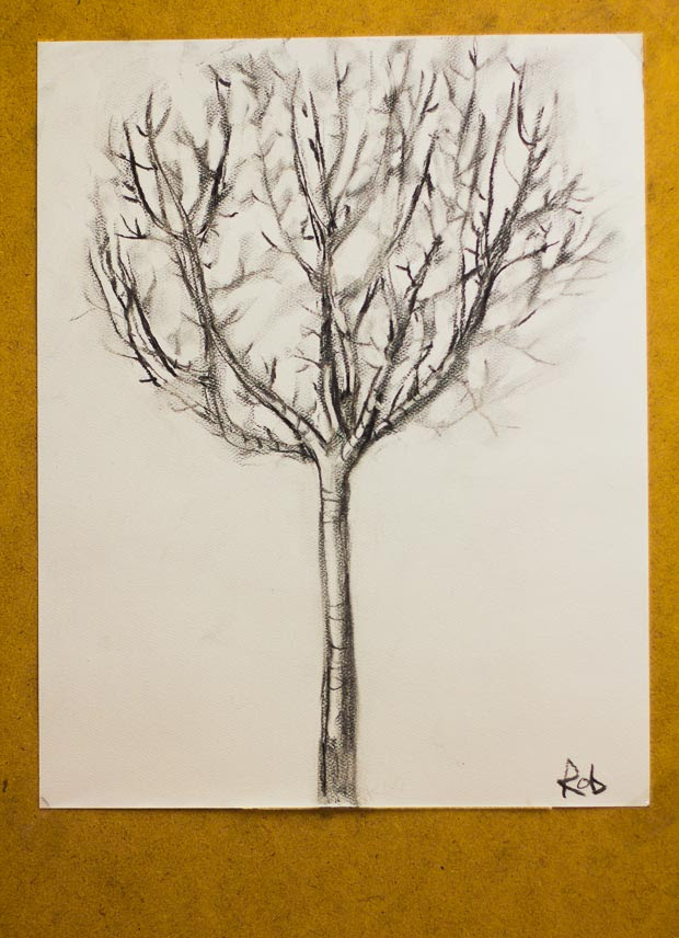 Teaching Kids How To Draw From Life How To Draw A Tree 