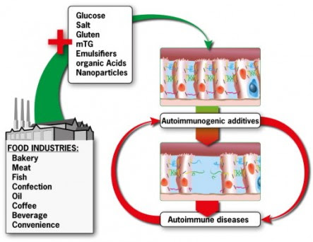 food additives and autoimmunty