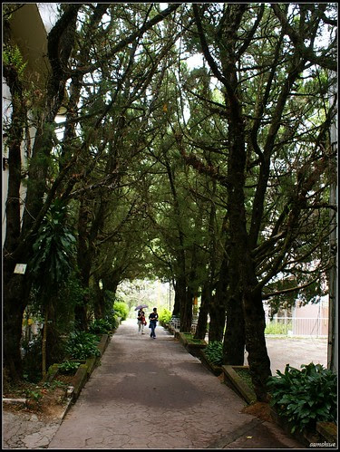 DSC09461