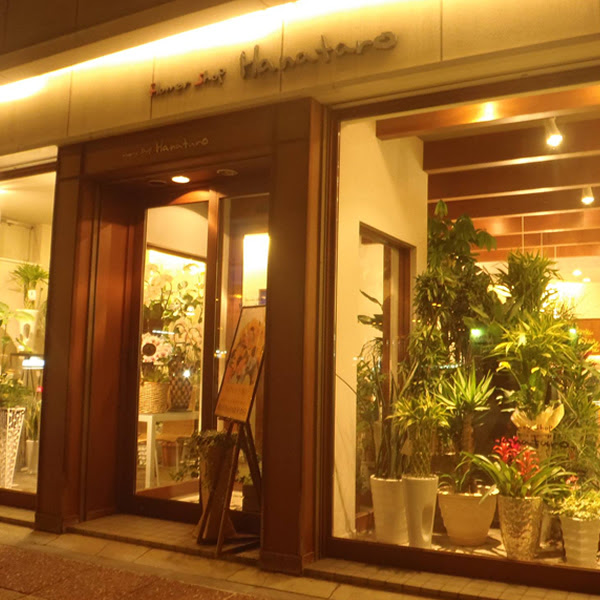 旭川市のおしゃれ花屋10選 駅前のギフトショップやアレンジ教室がある店も Shiori