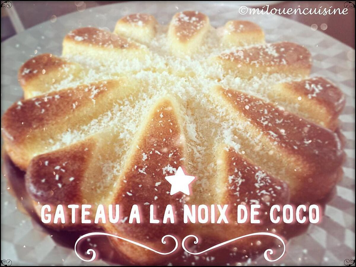 Recette De Gateau A La Noix De Coco Leger Facile Et Rapide