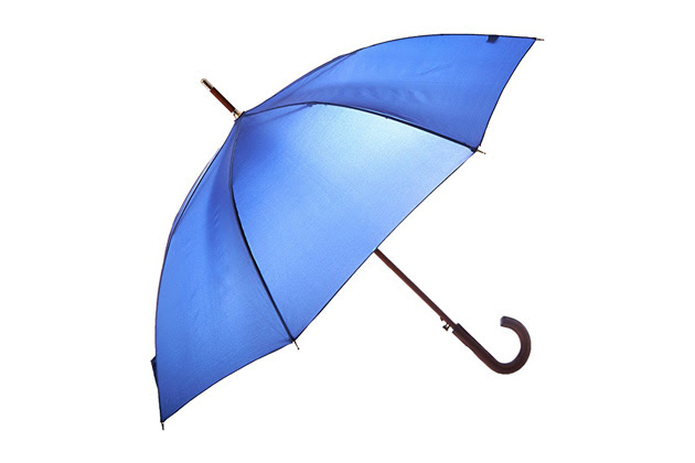 Image result for umbrella
