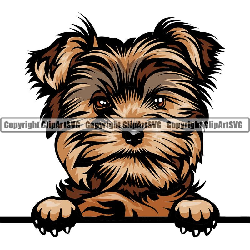 Download Yorkie Yhkmb Dog Breed Peeking Color Clipart Svg Clipart Svg