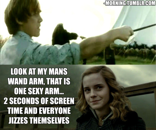 Tags: harry potter and the deathly hallowsdeathly hallowsharry potterron 