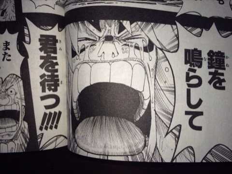 カルガラ 鐘を鳴らして君を待つ One Piece ワンピースの画像付名言集 ネタバレ注意