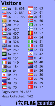 Flag Counter