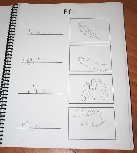 Shaye's summer book project