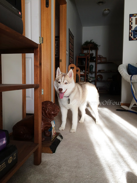IMG_3818Maggie