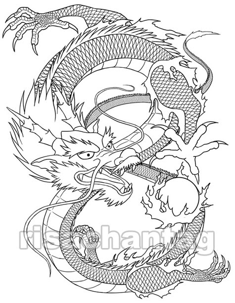 Inspiration: Dragons – Dragon Art for Tattoo Ideas Miami Ink Tattoo Gallery: