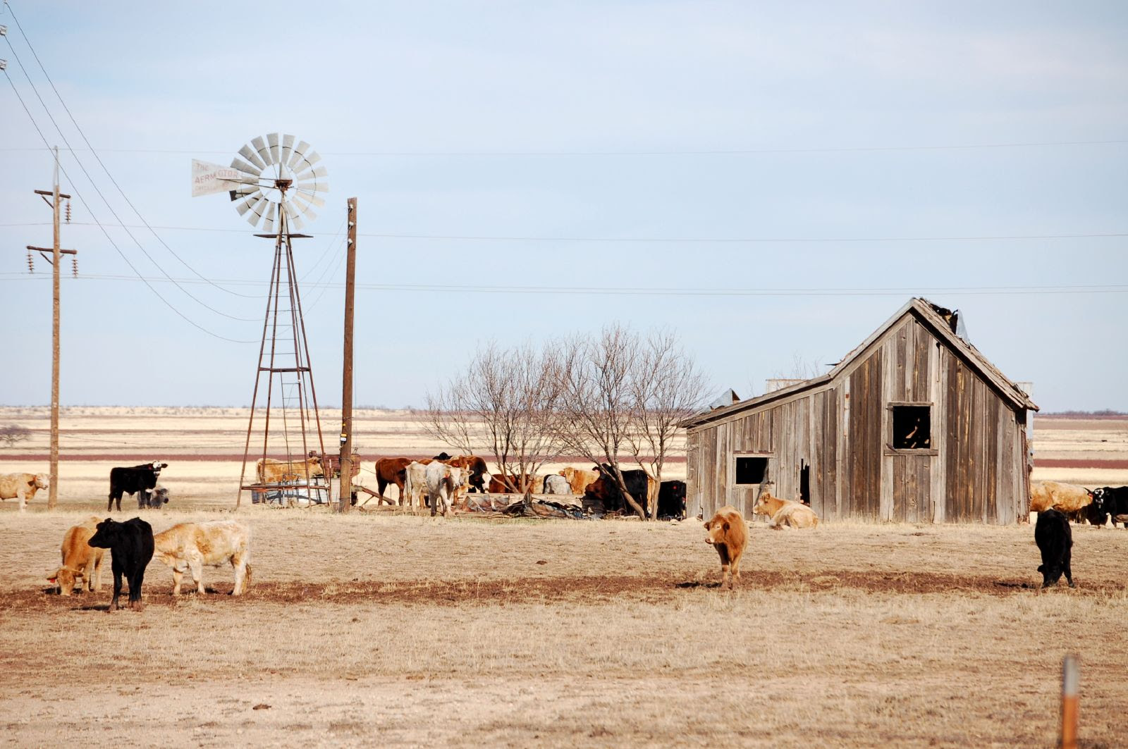 Description Texas landscape 3.jpg