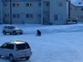 Видео Sleigh Ride in Sakhalin ^___^