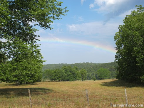 (21-1) Rainbow in the hayfield after a brief rain Sunday afternoon - FarmgirlFare.com