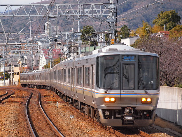 223系新快速東海道本線さくら夙川駅 照片共享页面 撮影蔵