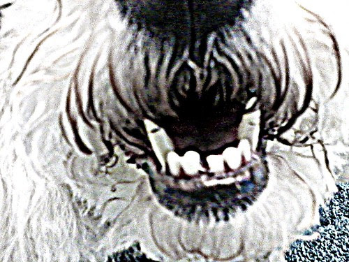 The Toothless Monster