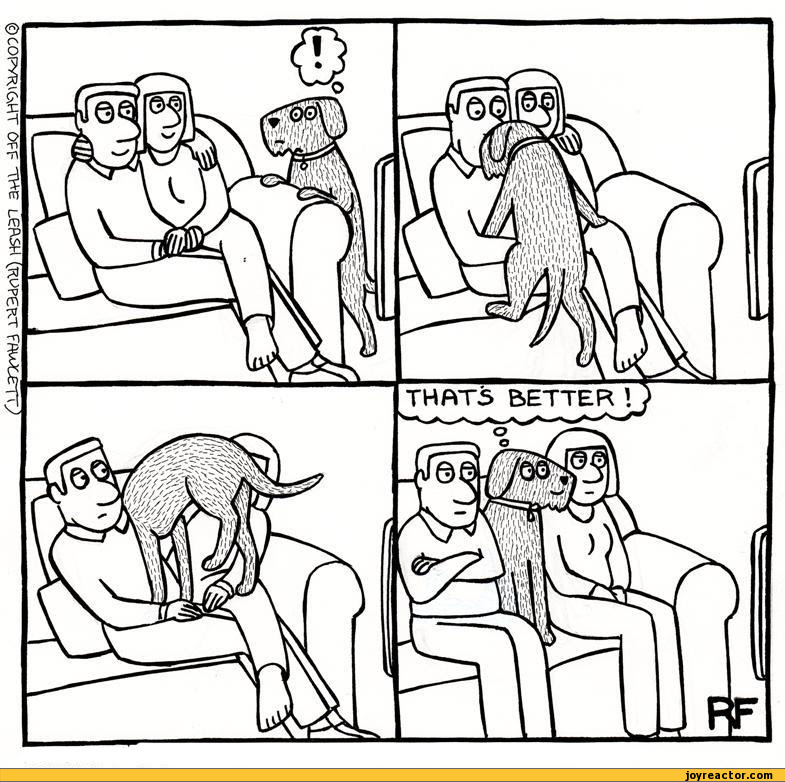 THFTTS BETTER,comics,funny comics & strips, cartoons, ,couple,seat,dog,off the leash