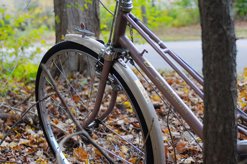 Yamaguchi Swoopy Mixte