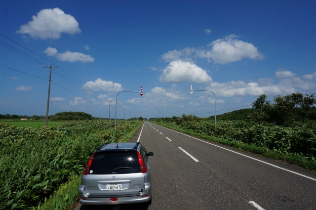 20150404 (36)