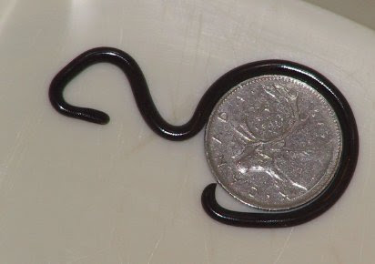 Vaizdas:Blind snake.jpg