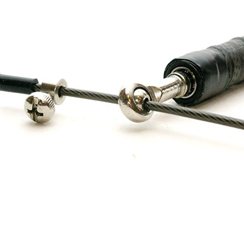 mixed martial arts in charleston sc