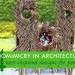 nests, nest-inspired design, biomimicry, patterns of nature, human habitat, bio-tecture,eco-design