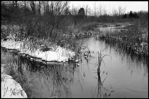 Raisin River