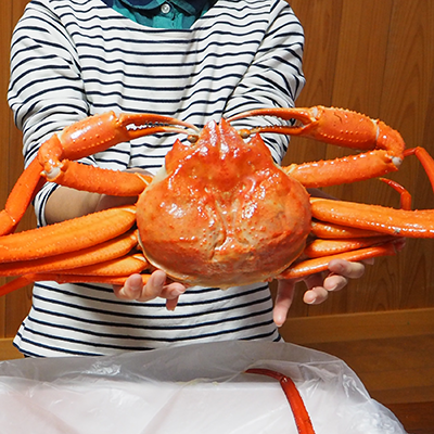 未冷凍 ボイル済 紅ズワイガニ通販 お取り寄せのハリタ冷蔵