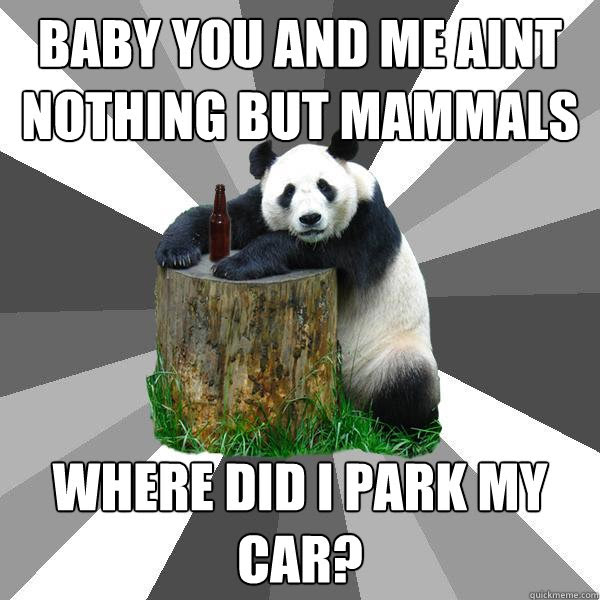 Baby You And Me Aint Nothing But Mammals Where Did I Park My Car Pickup Line Panda Quickmeme