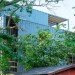 Brookland, Brookland DC, DC, Washington, Brookland neighborhood, shipping containers, containers, shipping, shipping container apartments