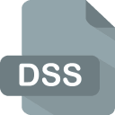 dss icon