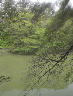 忠成会本部 天壌無窮