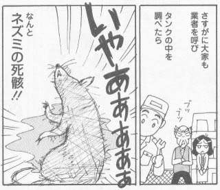愛媛の小さな古本屋 Full本屋 入荷情報etc
