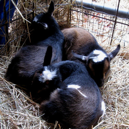 snuggled up