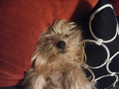 Mr.B2