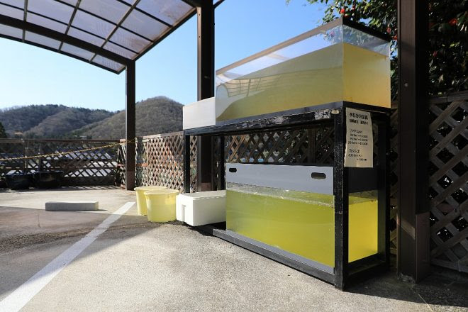 ショップ どこまでも自由で いつまでも自然体で アクアアート リベル 大阪府能勢町 のアーティスト的営業戦略 キワメテ 水族館