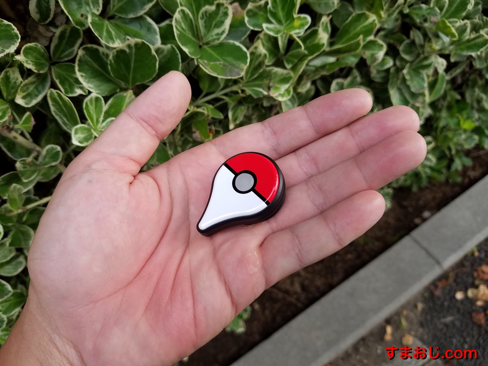 ポケモンgoプラスを全自動化する改造方法が チートや違反行為にはならないの すまおじ Com