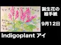 コレクション 9月12日 诞生花 322426