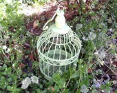Apple Green Birdcage - indigobutterflyco