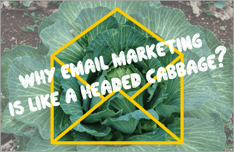 headed cabagge for email marketing manager