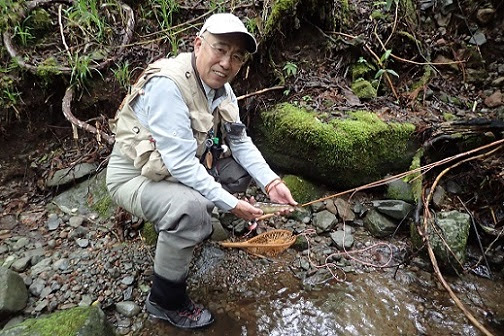 雨の後でイワナ アマゴ狙い 道具屋おやじが釣ってみた No 46 道具屋日記