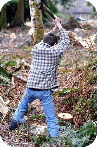Splitting Firewood