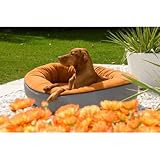 Bowsers Orbit Dog Bed Small Sienna