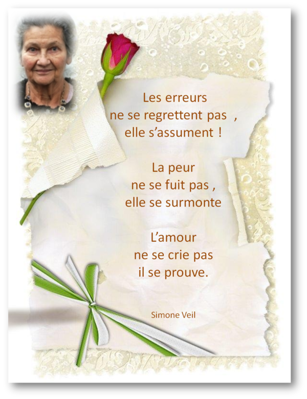 Belle Citation De Simone Veil