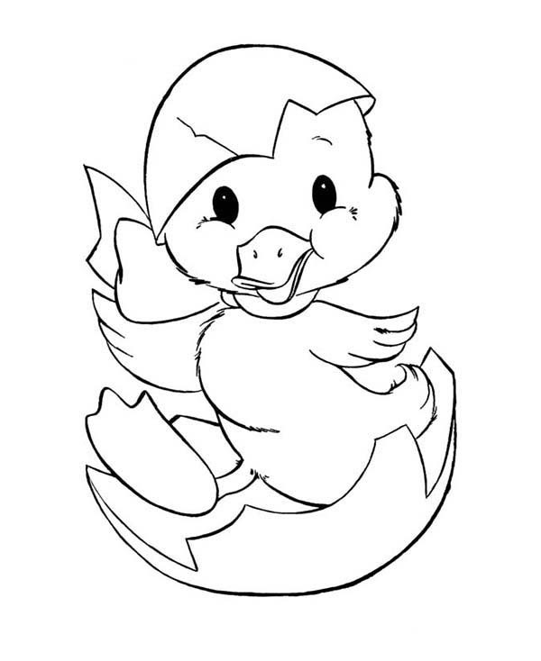 Egg Cartoon Drawing at GetDrawings | Free download
