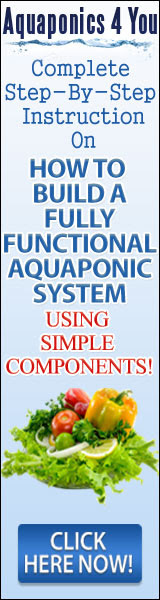 Aquaponics 4 You
